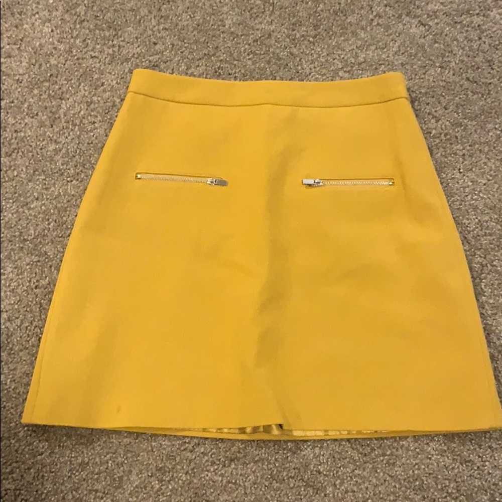 Zara skirt